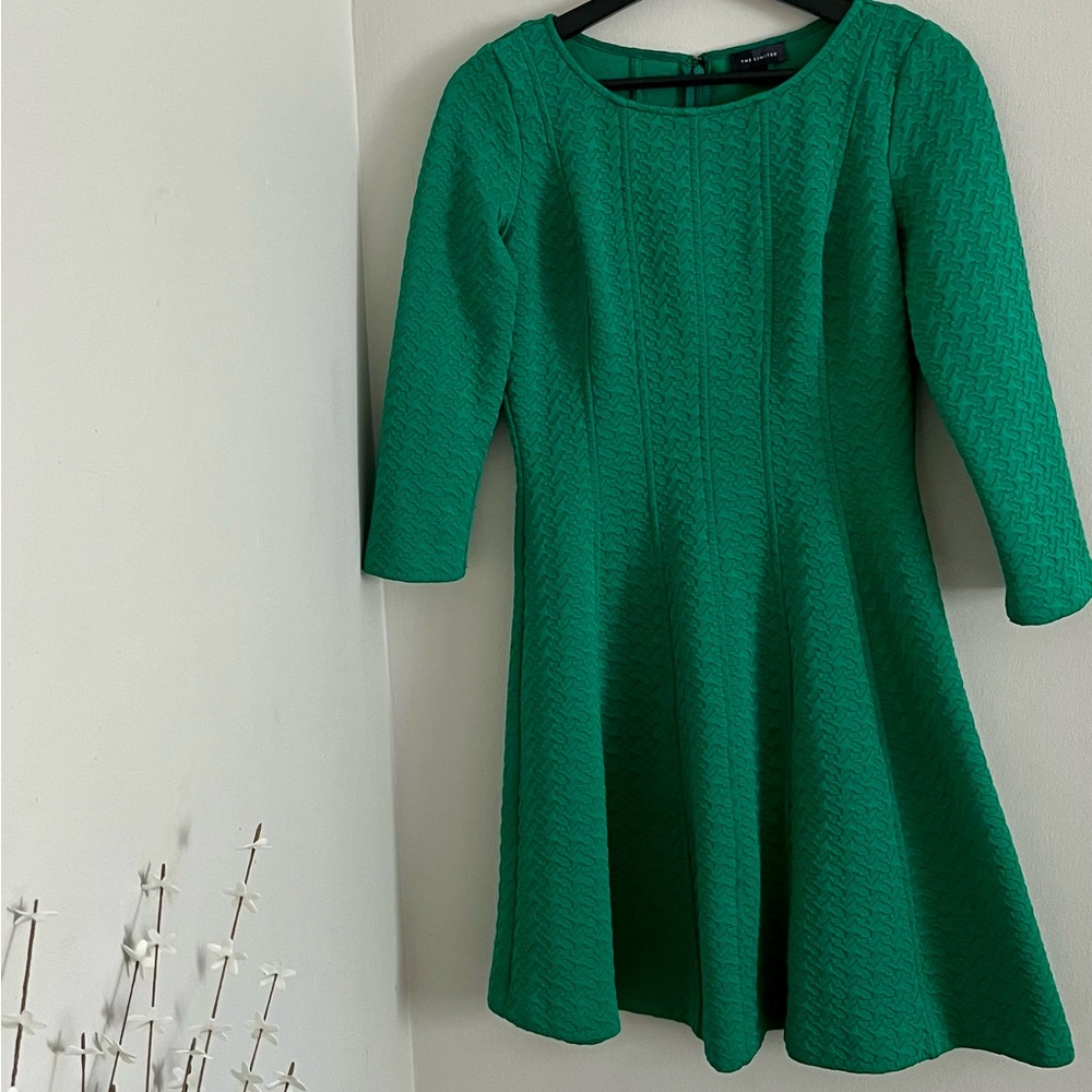 The Limited Green Textured Dress